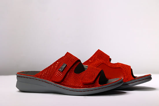 EVA RED NET