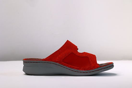 EVA RED NET