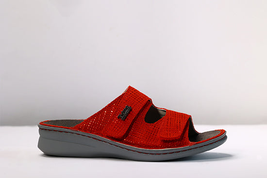 EVA RED NET